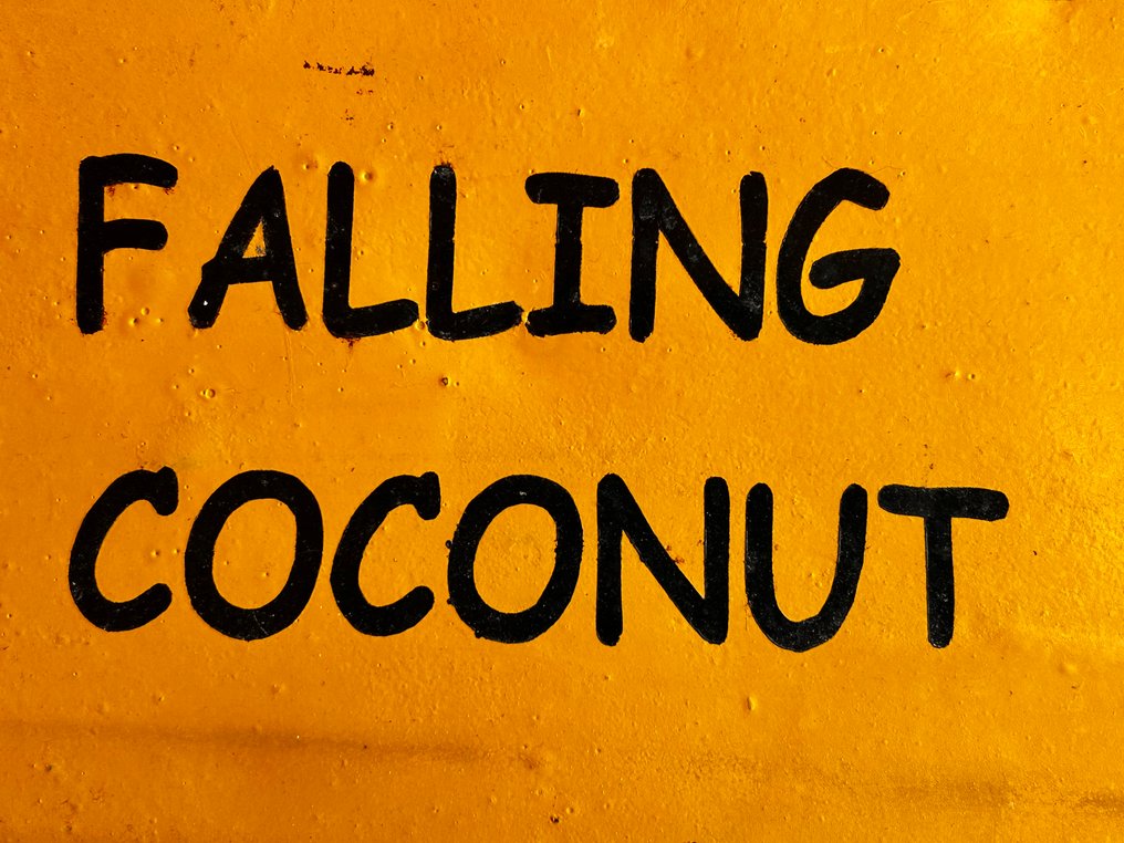 Emaille plaat "Caution Falling Coconut" - 琺瑯板 - 鋼 #2.1
