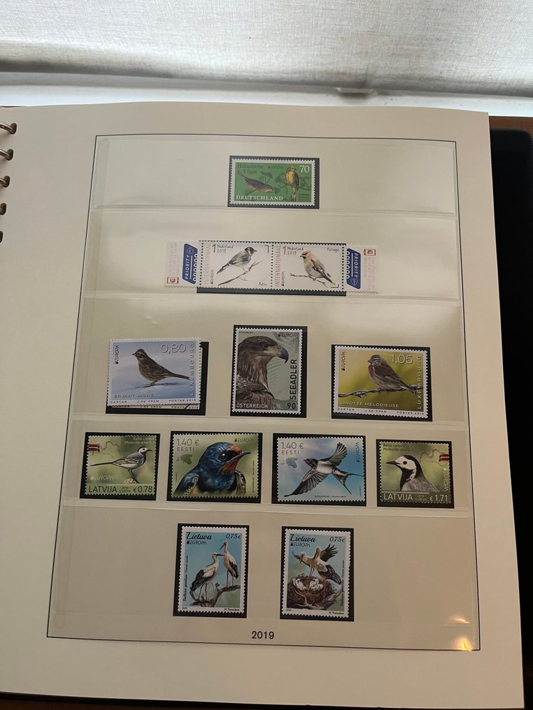 联合欧洲 2019 - 在 LF 杂志中关于《vogels》的完整年份 #3.2