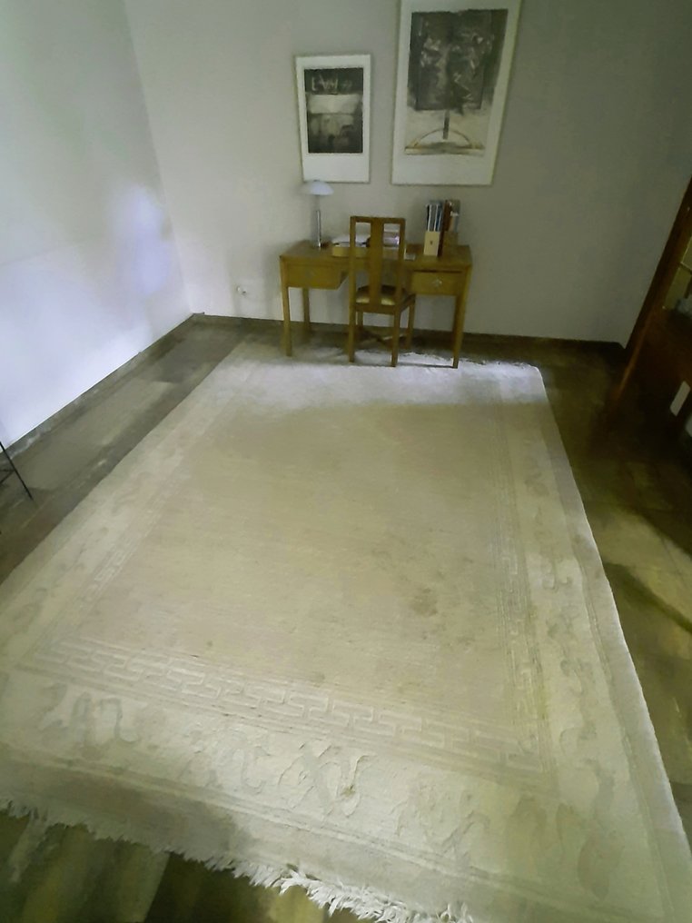 Carpet - 315 cm - 235 cm #2.1