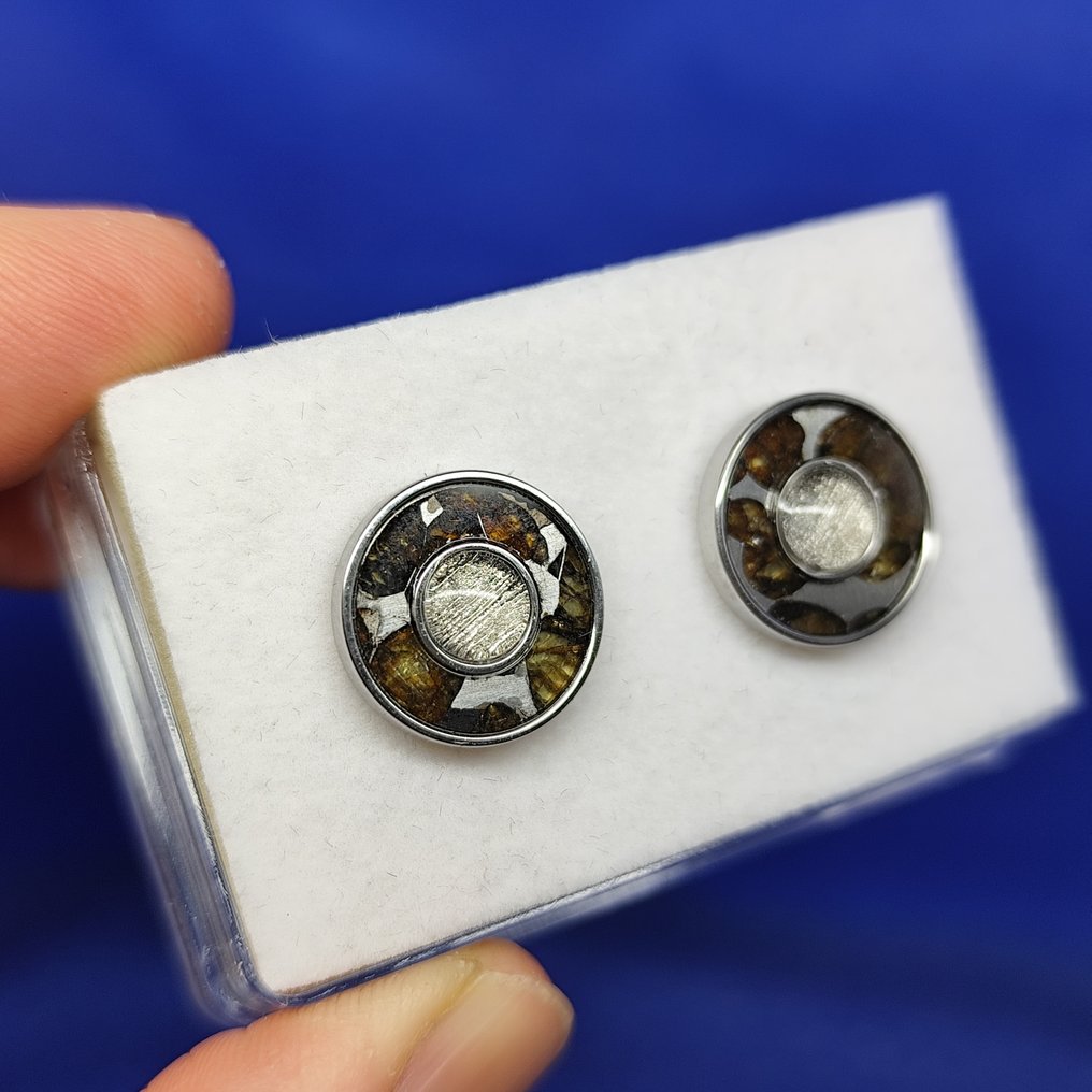PALLASITE + 铁陨石。耳环 最高品质！无底价！！！ - 4.5 g #1.0