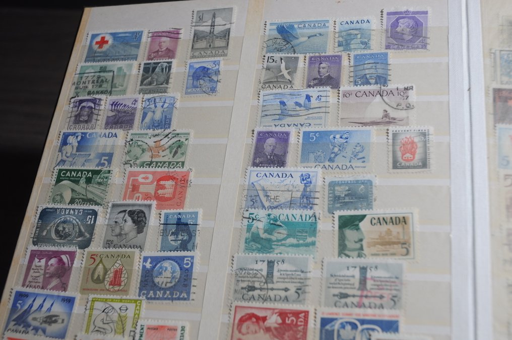 加拿大  - 从经典收藏中整理一堆存放照片的书籍（185 张照片） #4.3