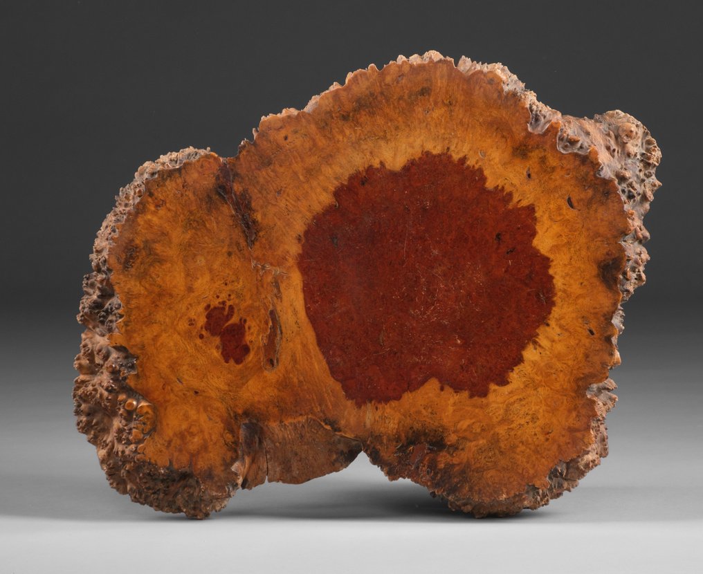 Dai 台 (展示架) - 日本 - Shōwa period (1926-1989) #3.2