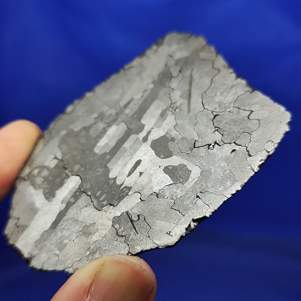 Καταπληκτική Φέτα - Μετεωρίτης Campo del Cielo (Αργεντινή, 4500 χρόνια) Μοτίβο Widmanstätten. ΧΩΡΙΣ ΤΙΜΗ ΕΚΚΙΝΗΣΗΣ! - 67 g #1.0