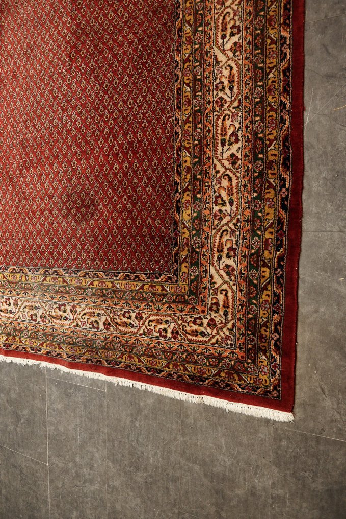 Sarough Mir - Carpete - 252 cm - 240 cm #4.3