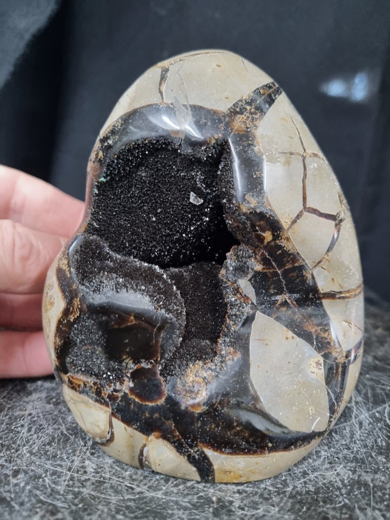 美丽的大型雕塑 Septaria - Septarie - 龙蛋 - 高度: 120 mm - 闊度: 105 mm- 1 kg #1.0