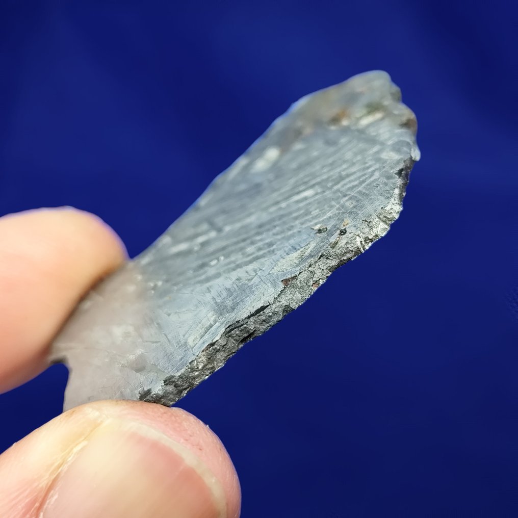 Σιδηρούν μετεωρίτης, Aletai (Κίνα, 1898) Widmanstatten pattern. ΚΑΛΥΤΕΡΗ ΠΟΙΟΤΗΤΑ - 11.3 g #3.2