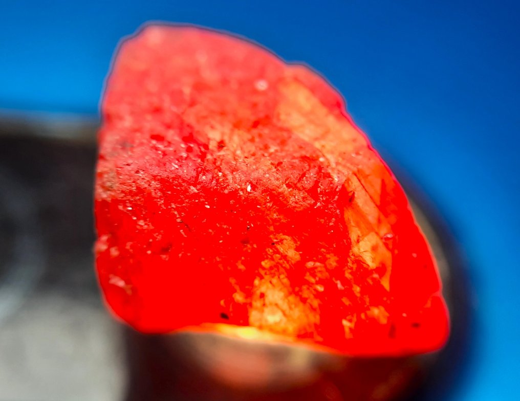 101,3 ct - onbehandelde robijn - Ruw- 20.26 g #2.1