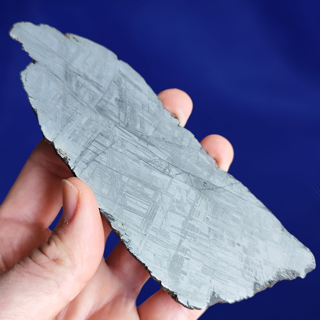 Εκπληκτική φέτα από μετεωρίτη Muonionalusta XL (Σουηδία, 1906) Widmanstätten Pattern. - 100.6 g #1.0