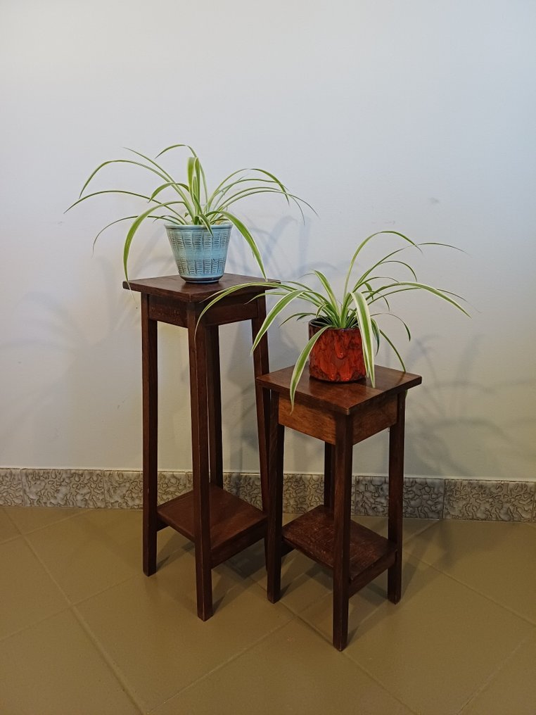 植物台 (2) - 橡木 - 木制植物桌套装 #1.0