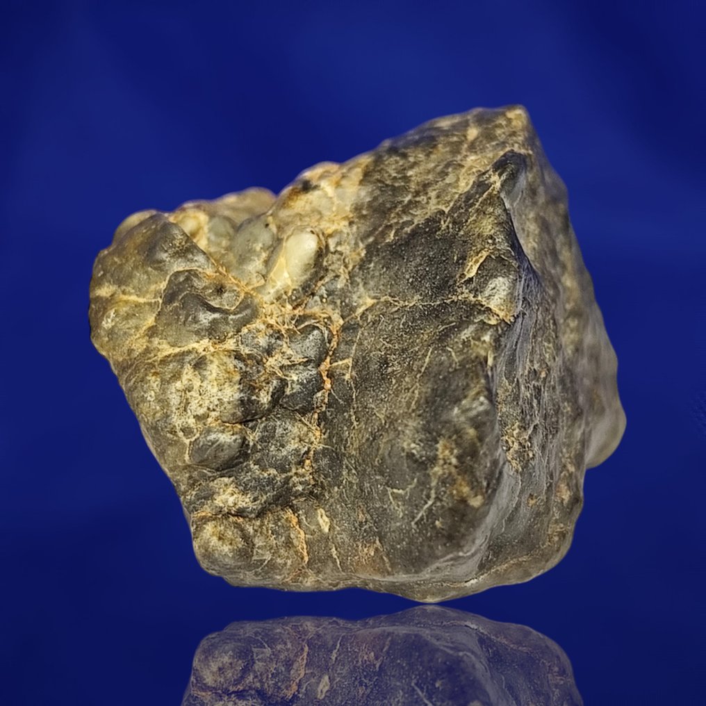 GABBRO 月球陨石（熔融角砾岩）。 阿德尔 013（阿尔及利亚，2023年） -p. 配对-. - 17.2 g #1.0