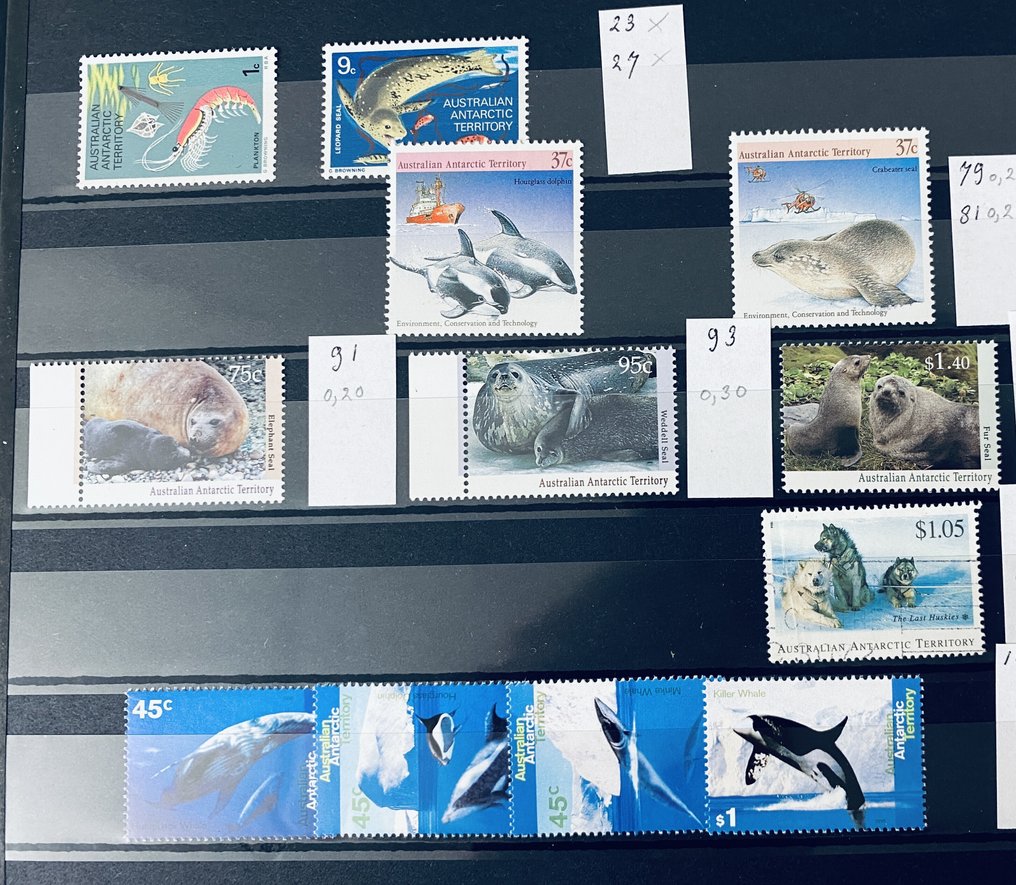 世界  - 收藏 / 研究者世界，涉及南极洲 #1.0