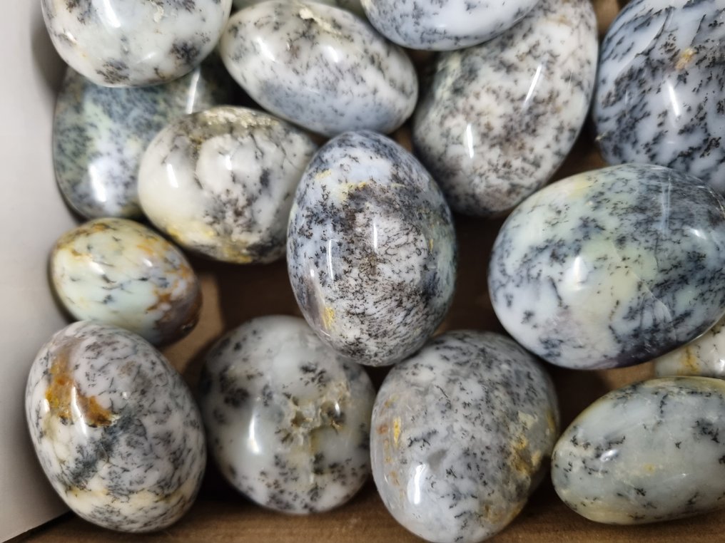 Μεγάλο σετ HQ palm stones, δακτύδιος δένδριτης όπαλος 6,5 - 4,2 εκ. Ελεύθερη μορφή- 2050 kg #2.1