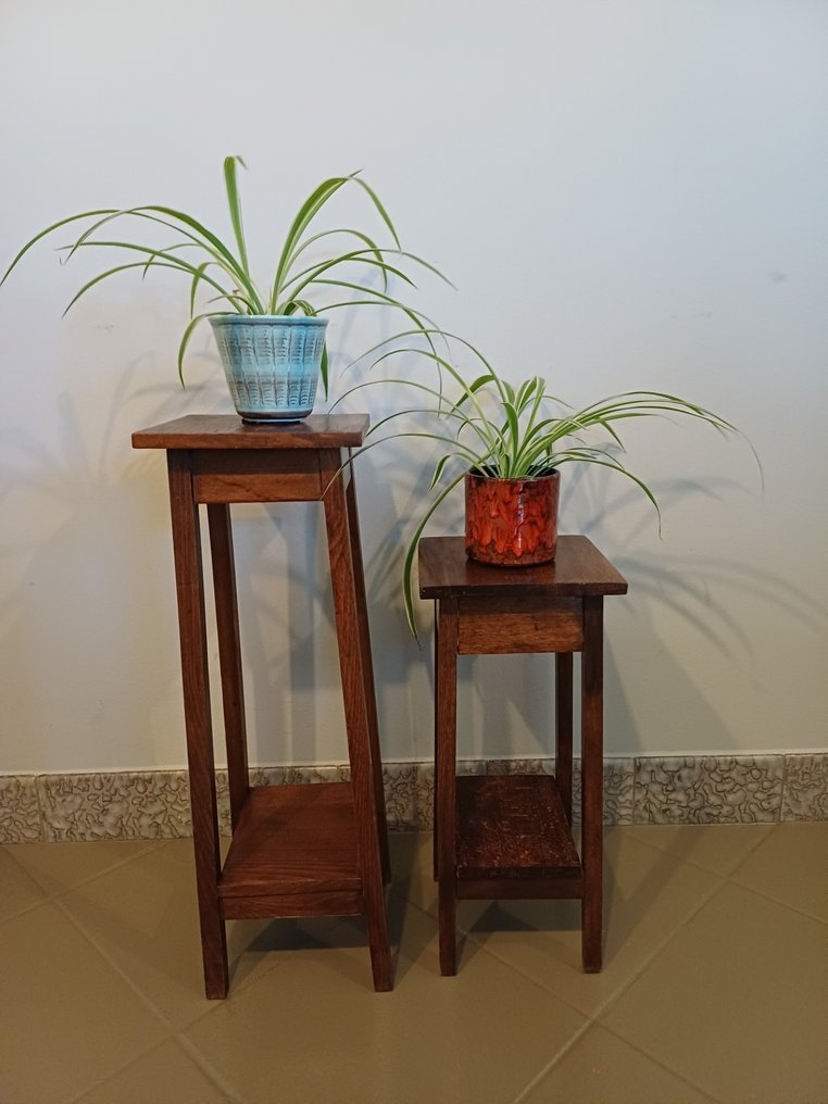 植物台 (2) - 橡木 - 木制植物桌套装 #3.2