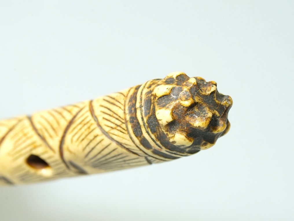 Lange netsuke van een bamboescheut - Ree-kerf - Japan - Edo Periode (1600-1868) #3.2
