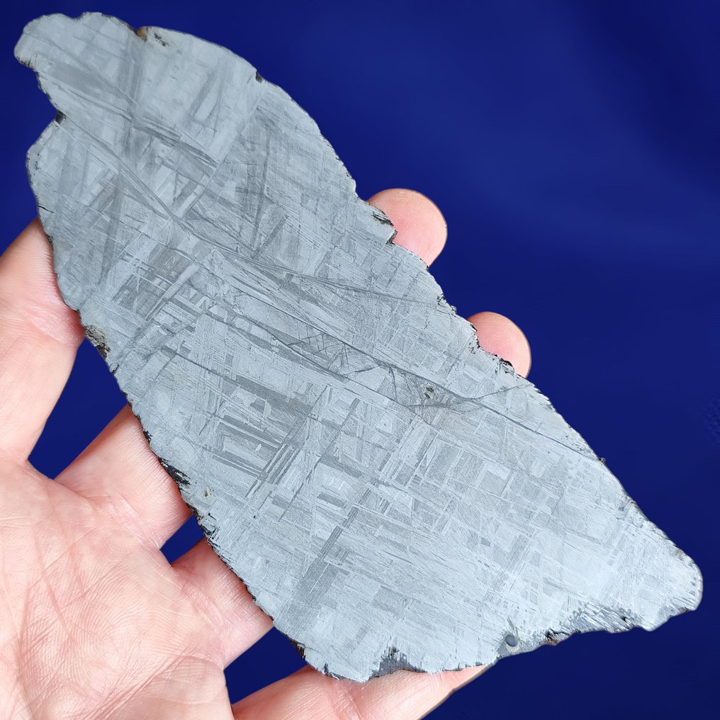 Εκπληκτική φέτα από μετεωρίτη Muonionalusta XL (Σουηδία, 1906) Widmanstätten Pattern. - 100.6 g #2.1