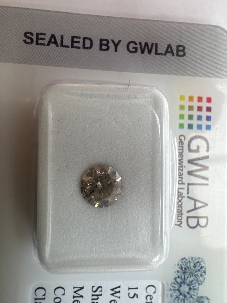 没有保留价 - 1 pcs 钻石  (天然色彩的)  - 0.62 ct - 圆形 - Fancy 灰色 - SI2 微内三含级 - Gemewizard宝石实验室（GWLab） #1.0
