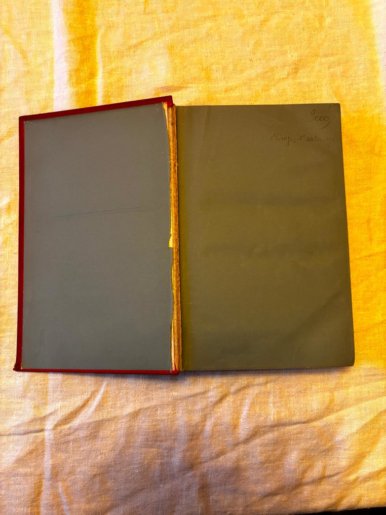 Jules Verne; Illustrations de L. Benett - Mistress Branican - 1891 #4.3