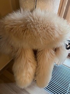 Other brand - 長圍巾（披肩） #3.2