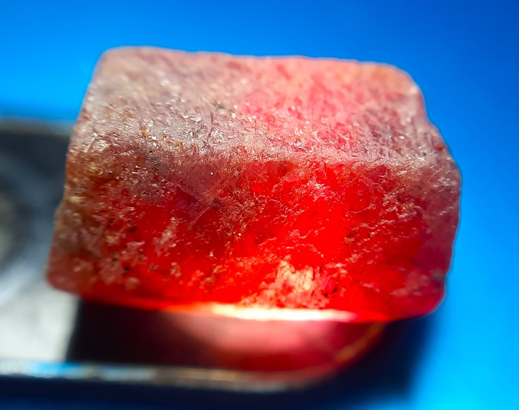 101,3 ct - onbehandelde robijn - Ruw- 20.26 g #1.0