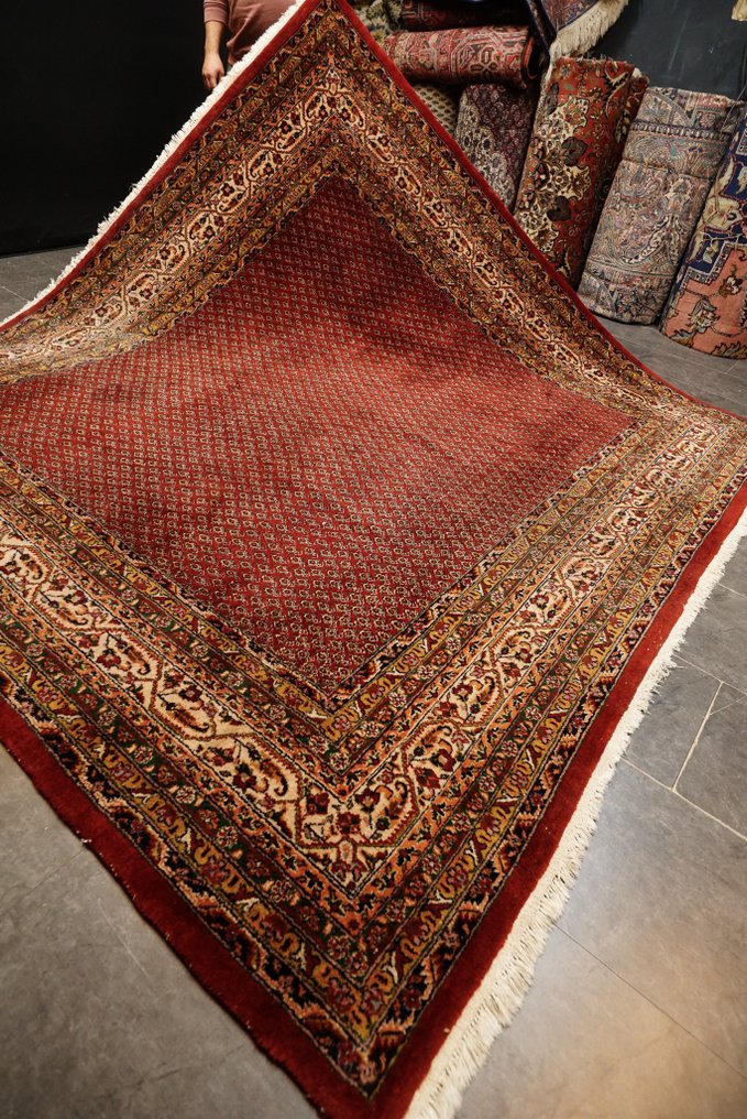 Sarough Mir - Carpete - 252 cm - 240 cm #1.0