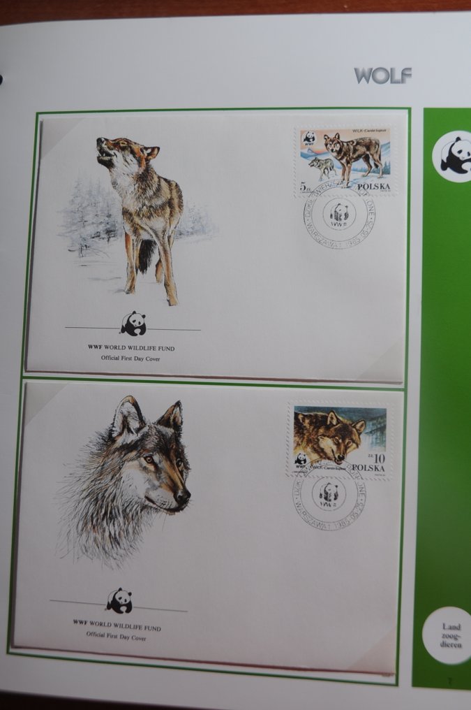 WWF  - Συλλογή μετα-εκτυπωμένων σειρών και άγραφων καλυμμάτων σε 3 ειδικά άλμπουμ WWF με κασέτες. #3.2