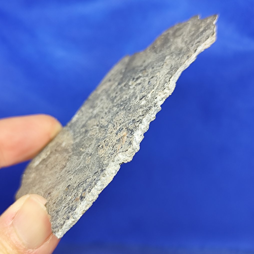 EUCRITE METEORITE-skive. NY UTEN reservepris!!! - 34.6 g #2.1