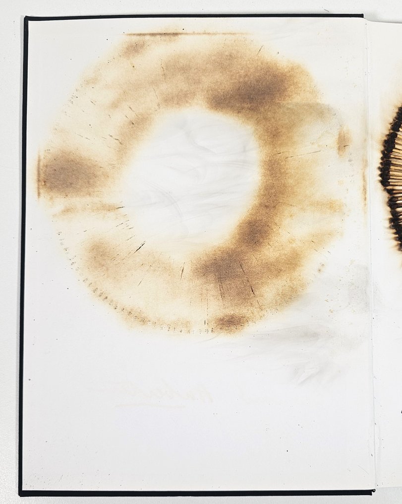 Bernard Aubertin (1934-2015) - Livre Brûlé Rosenberg #3.2