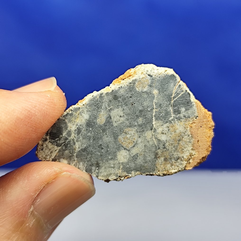 正品月球陨石切片 - 长石角砾岩 - 贝查尔 007（阿尔及利亚，2022年）。无底价！ - 2.8 g #2.1