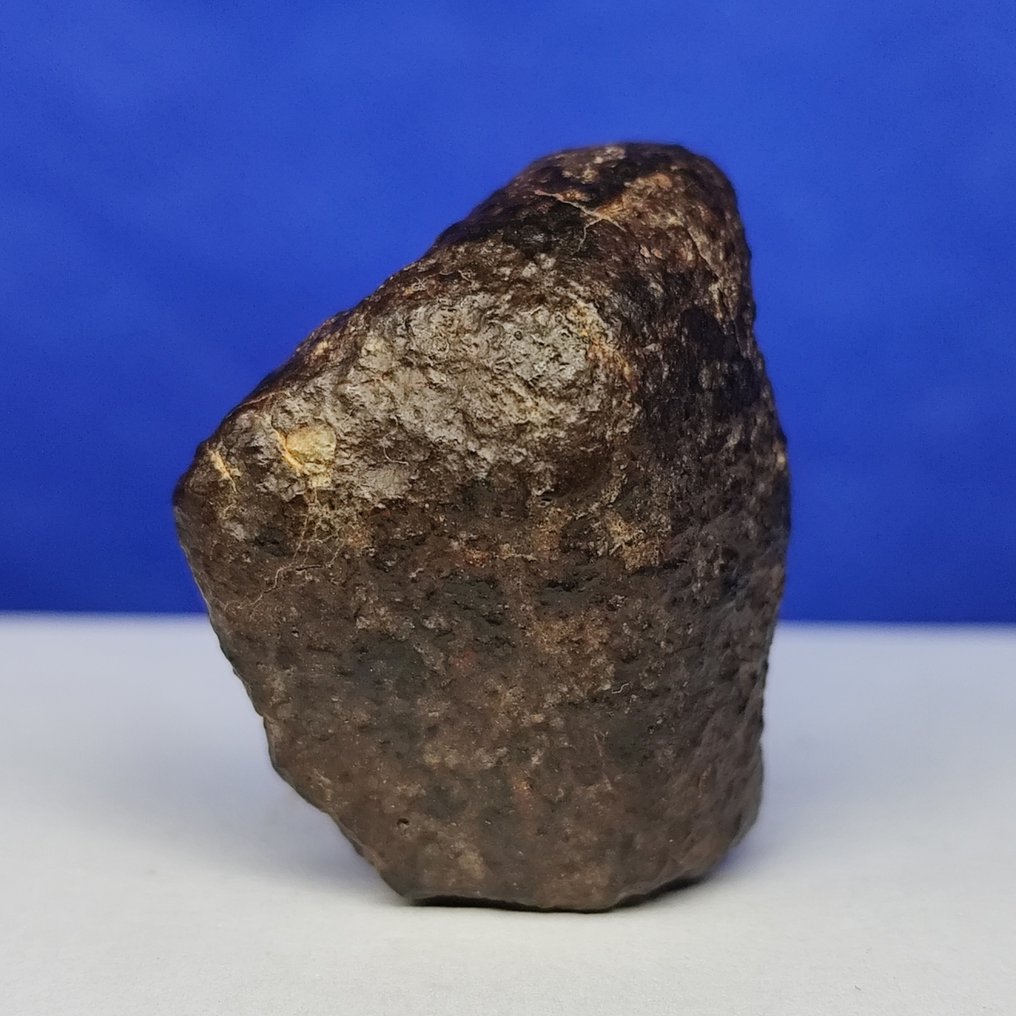 -Καλή ποιότητα- Μετεωρίτης Χονδρίτης (Σαχάρα, 2017). Το παλαιότερο υλικό στα χέρια σου - 4,5 δισεκατομμύρια χρόνια ηλικίας -. - 48.8 g #1.0