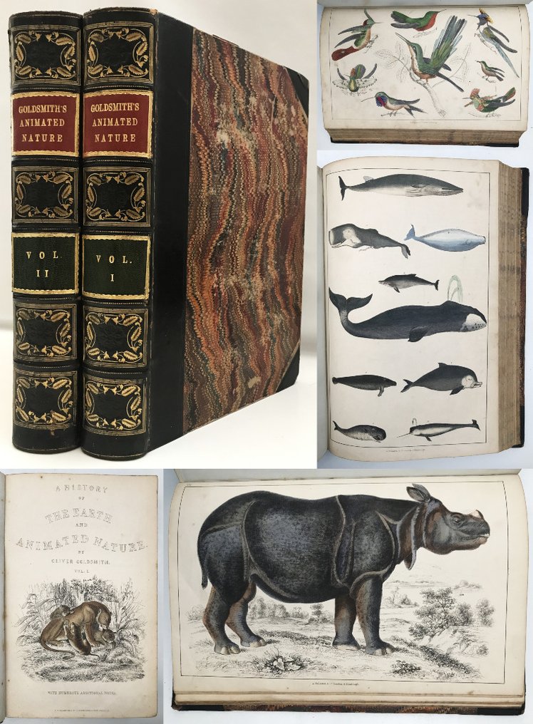 Oliver Goldsmith - A History of the Earth and Animated Nature. In Two Volumes. - 1847 #1.0