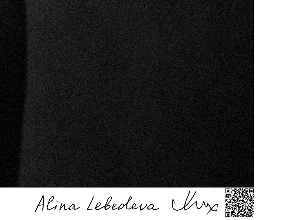 Alina Lebedeva - Untitled #2.1