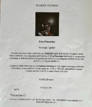 Ciro Palumbo (1965) - Accogli L'ignoto #2.1