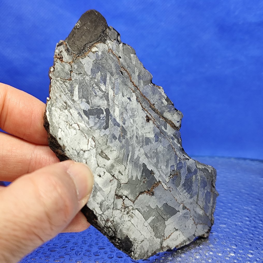 铁陨石南滩（中国，1516年） 切片。Widmanstätten 图案。 - 290 g #2.1