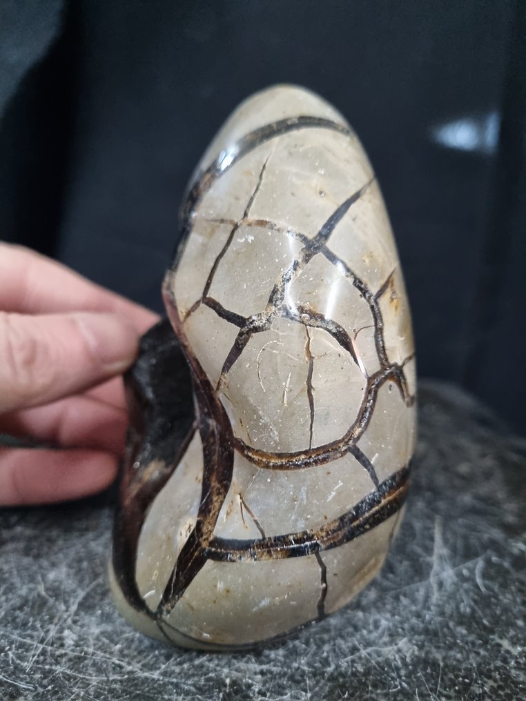 美丽的大型雕塑 Septaria - Septarie - 龙蛋 - 高度: 120 mm - 闊度: 105 mm- 1 kg #2.1