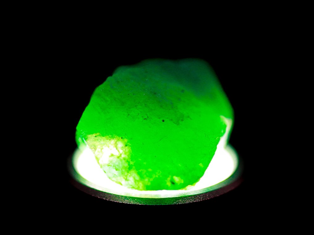 Ζωντανό πράσινο σμαράγδι 2.55 καρατίων • ποιότητα AA Grade Muzo - Ύψος: 10 mm - Πλάτος: 6 mm- 0.51 g - (1) #1.0