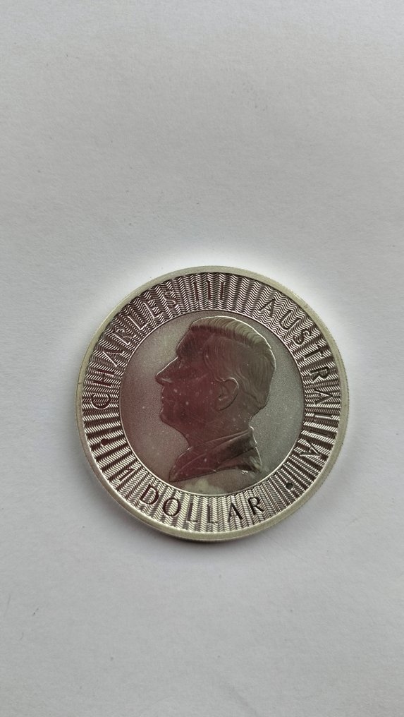 加拿大. 5 Dollars 2025 1 gr .999  (沒有保留價) #2.1