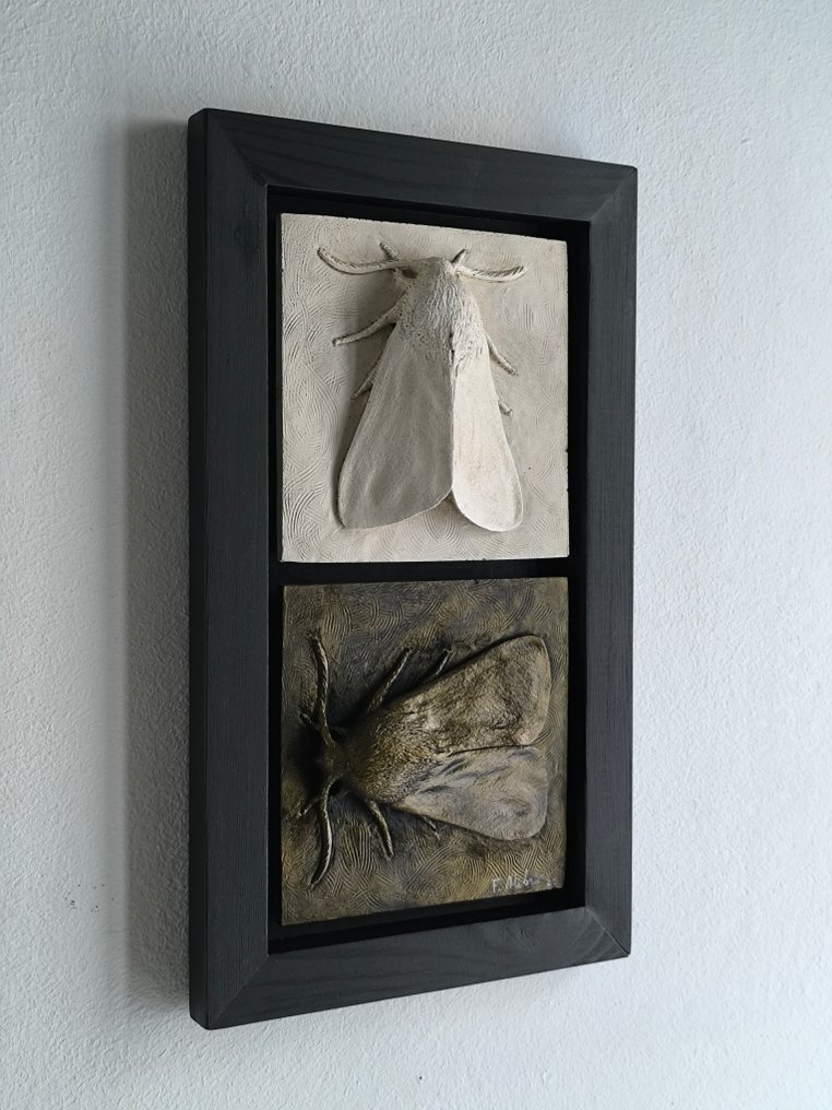 Federico Alibrio - Moths - Vertical and horizontal #2.1