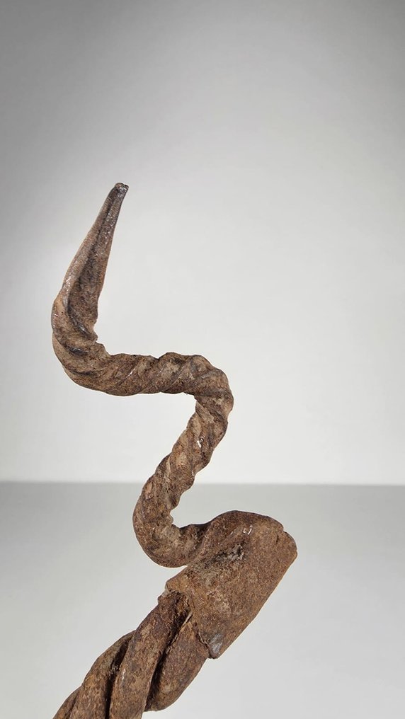 Πρωτόγονη νομισματική σε σιδεράκι. - Mumuyé - Νιγηρία  (χωρίς τιμή ασφαλείας) #4.3