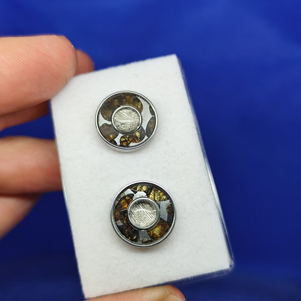 PALLASITE + 铁陨石。耳环 最高品质！无底价！！！ - 4.5 g #1.0