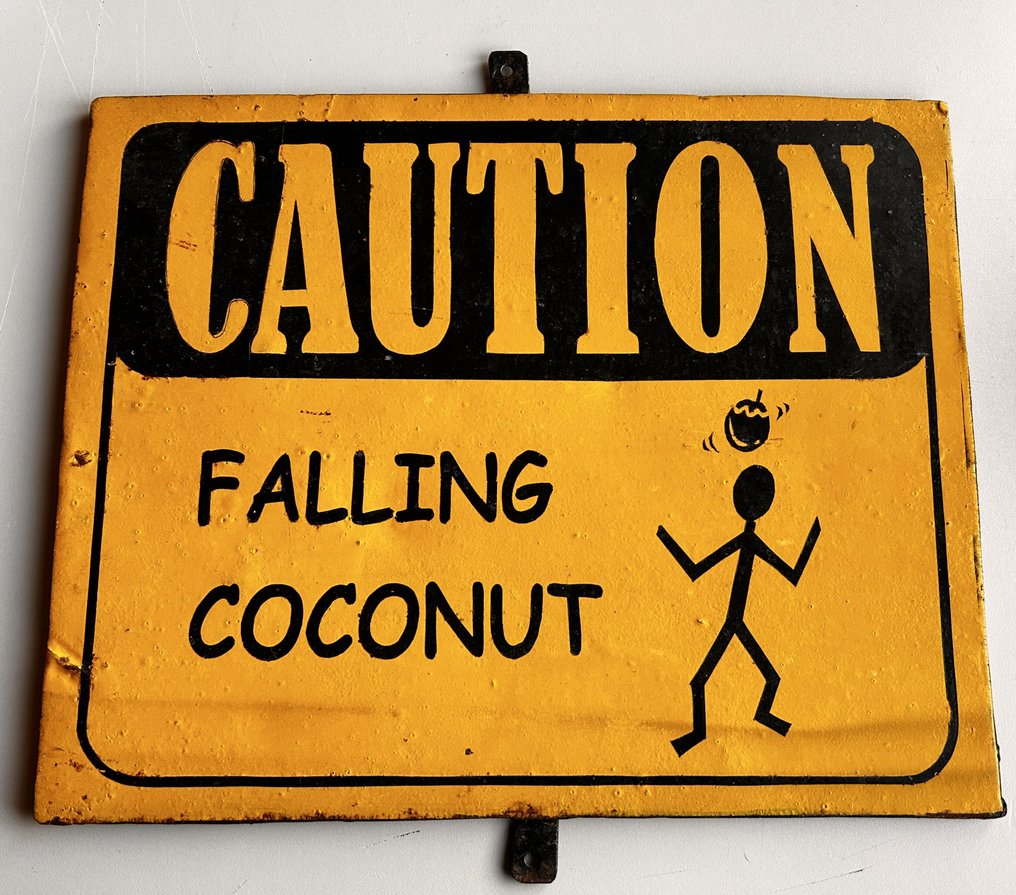 Emaille plaat "Caution Falling Coconut" - 琺瑯板 - 鋼 #1.0