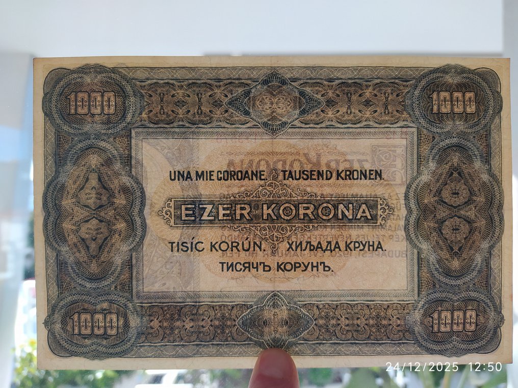 Ουγγαρία. - 1000 Korona - 1920 - Pick 66  (χωρίς τιμή ασφαλείας) #3.2