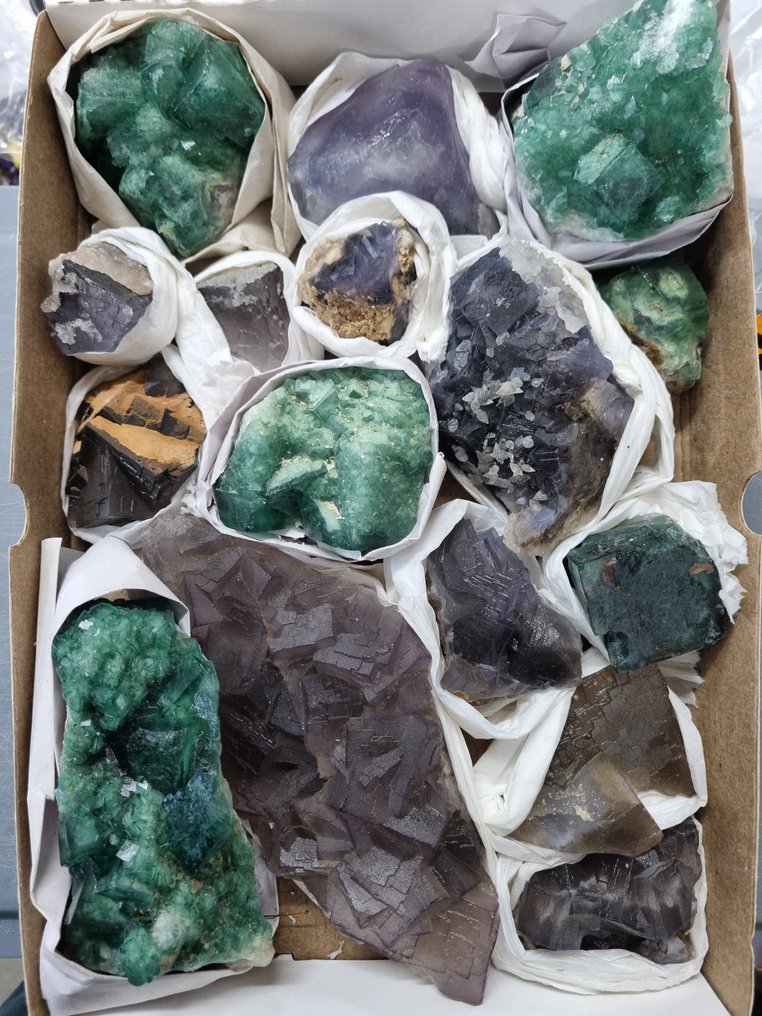 大量高品质萤石簇，尺寸为19.5 / 4厘米。 水晶群- 4.53 kg #1.0