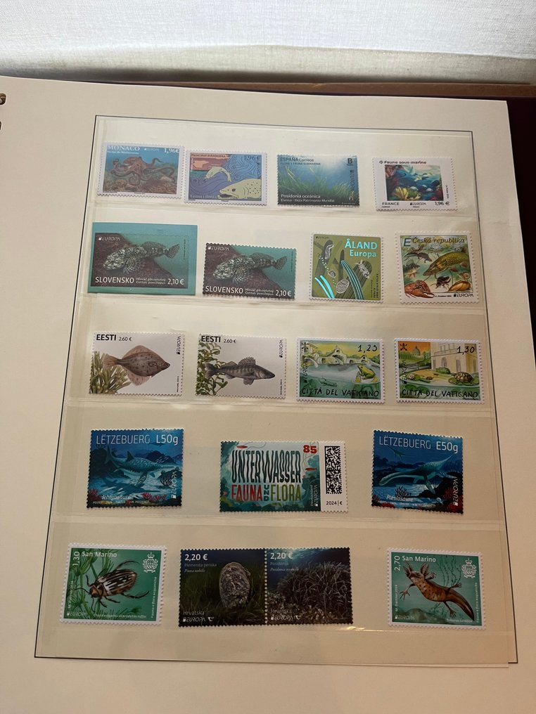 联合欧洲 2024 - 完整年度 #3.2