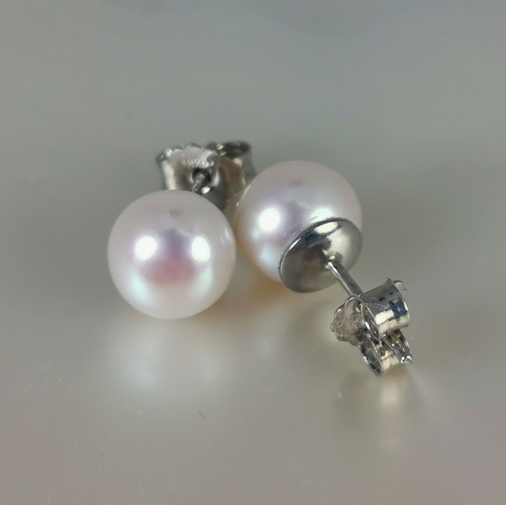 耳环 银 珍珠 - 巨型Akoya RD Ø 8x8.5毫米 #4.3