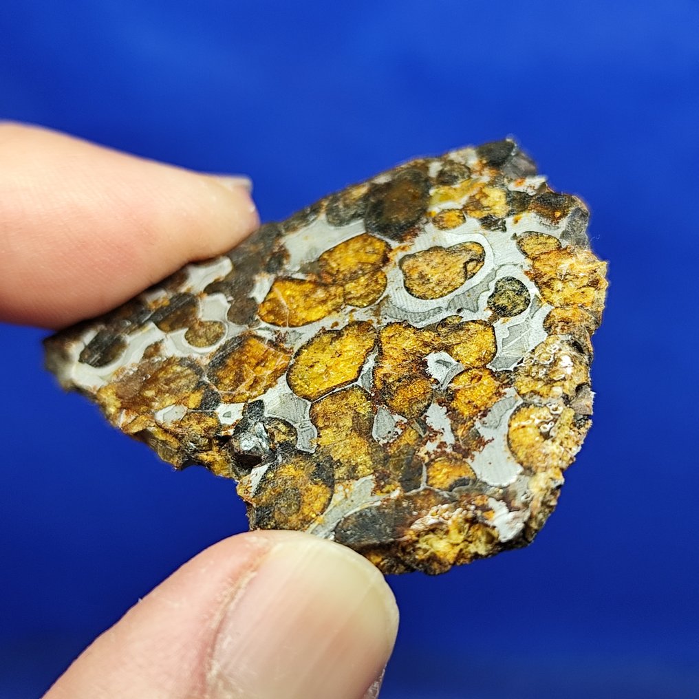 Πολύ ωραία PALLASITE Slice. SERICHO (Κένυα, 2016) ΧΩΡΙΣ ΤΙΜΗ ΕΚΚΙΝΗΣΗΣ! - 19.3 g #2.1