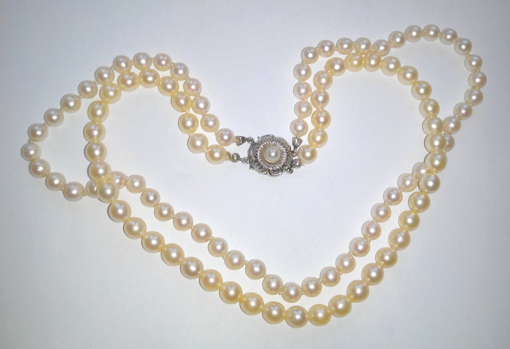 没有保留价 - 项链 14克拉白金 - Akoya-珍珠双色 - 2排 #4.3