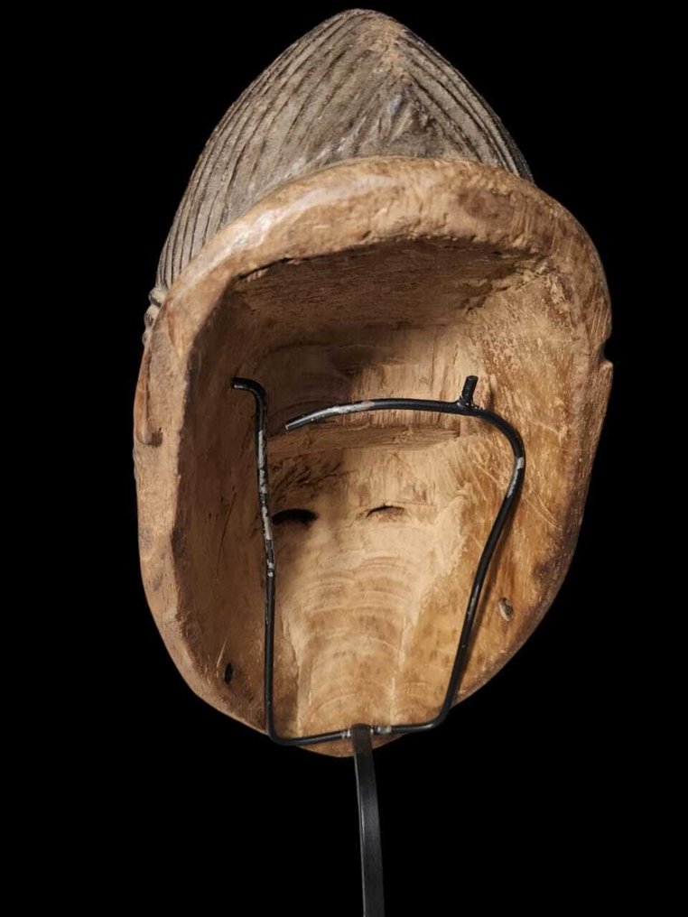 面具 - 雕塑 - Punu - 加蓬  (没有保留价) #4.3