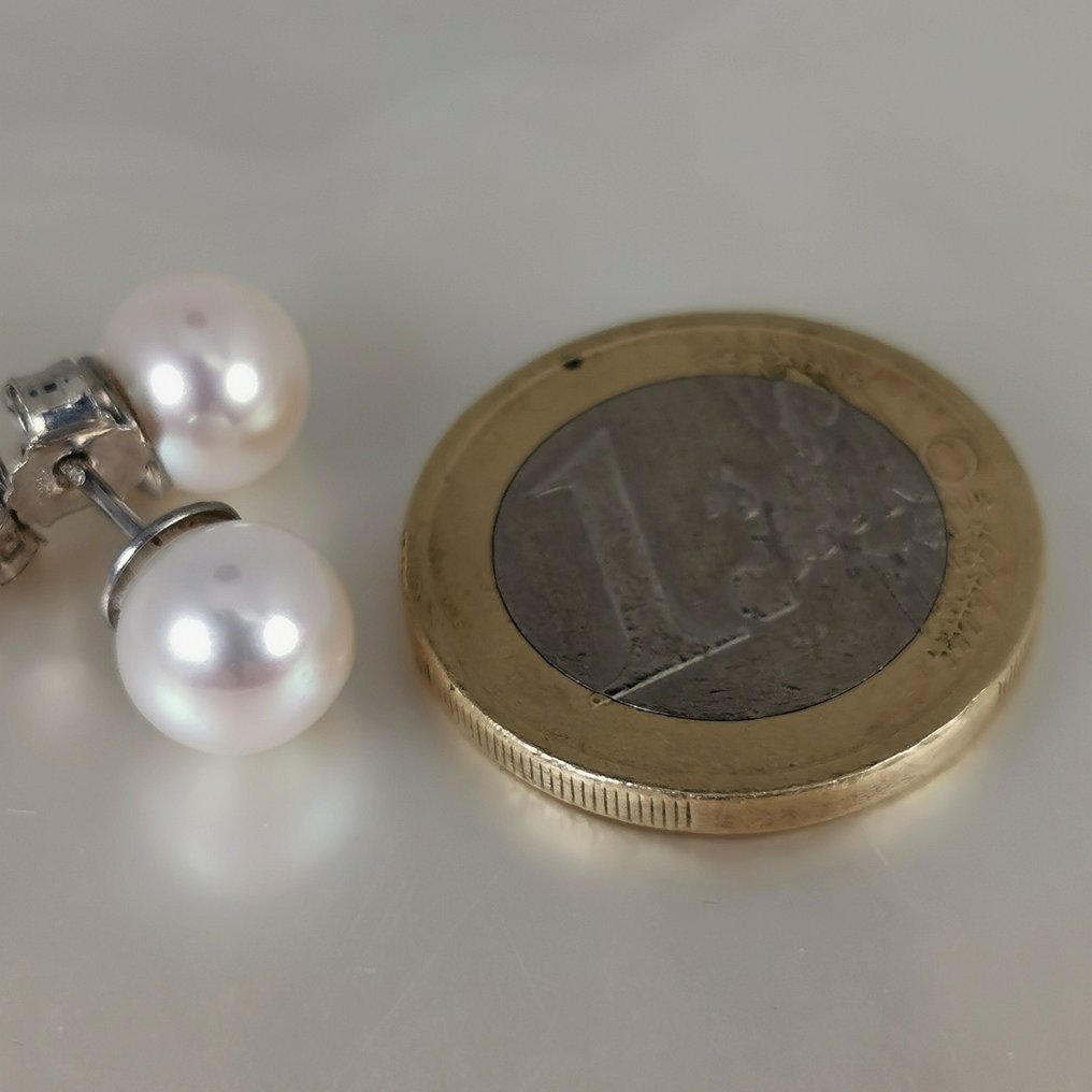 耳环 银 珍珠 - 巨型Akoya RD Ø 8x8.5毫米 #2.1