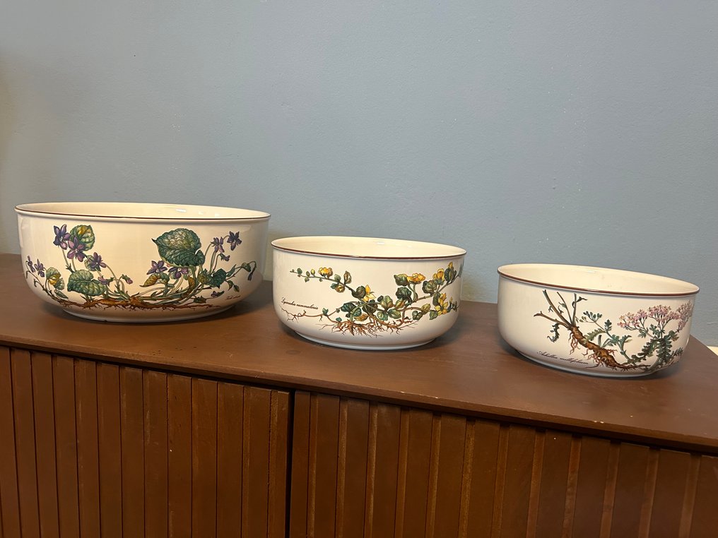 德国唯宝 - Botanica - 碗 (3) - Vitro - 上菜碗 #1.0