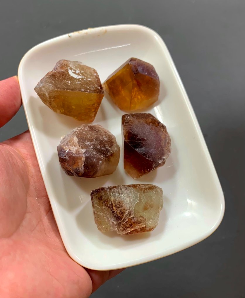 托帕斯大晶体五块套装，适合珠宝制造商，蜂蜜棕色，940克拉 水晶- 188 g - (5) #1.0